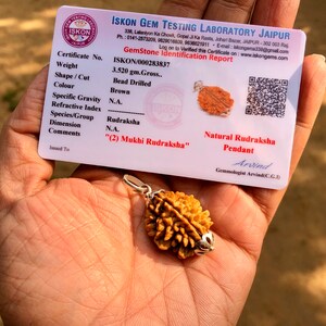 Może przedstawiać: Brązowy wisiorek z koralików Rudraksha z srebrnym oprawą. Wisiorek waży 3,520 gramów i jest "(2) Mukhi Rudraksha". Wisiorek znajduje się na certyfikacie z laboratorium testowania kamieni szlachetnych ISKON w Dżajpurze w Indiach.