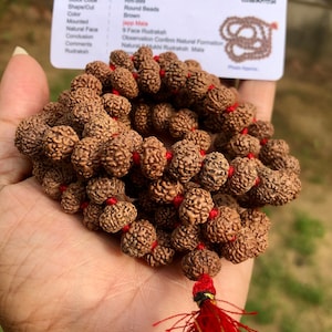 LAB CERTIFIED 108+1 Bead Indian Origin Rudraksha Mala 9 mukhi 9 faces (9-10 mm bead) Lord Shivas Rosary Jaap Mala Yoga Prayer Healing, Rare