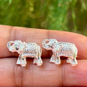 May include: A pair of silver elephant figurines. Each miniature elephant features detailed textured skin, a raised trunk, and large ears. These small elephants are likely jewellery or decorative pieces. The background is a blurred green.