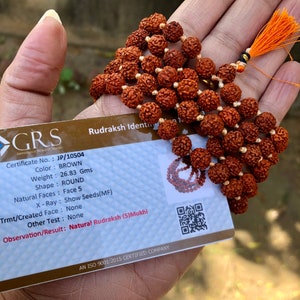 Handmade Rudraksha Mala Beads Bracelet, Small Shiva Tears: Genuine  Rudraksha Beads, Rudrakash Bracelet, Natural Indian Rudraksha Jewelry