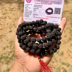 LAB CERTIFIED 108+1 Bead Indian Origin Black Rudraksha Mala 5 mukhi 5 faces Lord Shivas Rosary Jaap Mala Yoga Prayer Healing Meditation 8mm