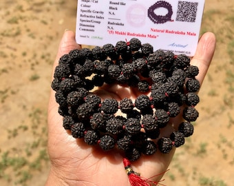 LAB CERTIFIED 108+1 Bead Indian Origin Black Rudraksha Mala 5 mukhi 5 faces Lord Shivas Rosary Jaap Mala Yoga Prayer Healing Meditation 8mm