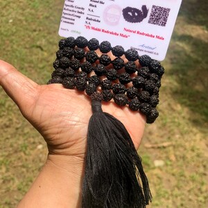 May include: A black Rudraksha Mala with a tassel, consisting of 109 beads. The mala is accompanied by a certificate of authenticity from ISKON Testing Laboratory Jaipur, stating the weight, shape, color, and other details of the mala. The certificate also includes the text "(5) Mukhi Rudraksha Mala" and "Natural Rudraksha Mala".