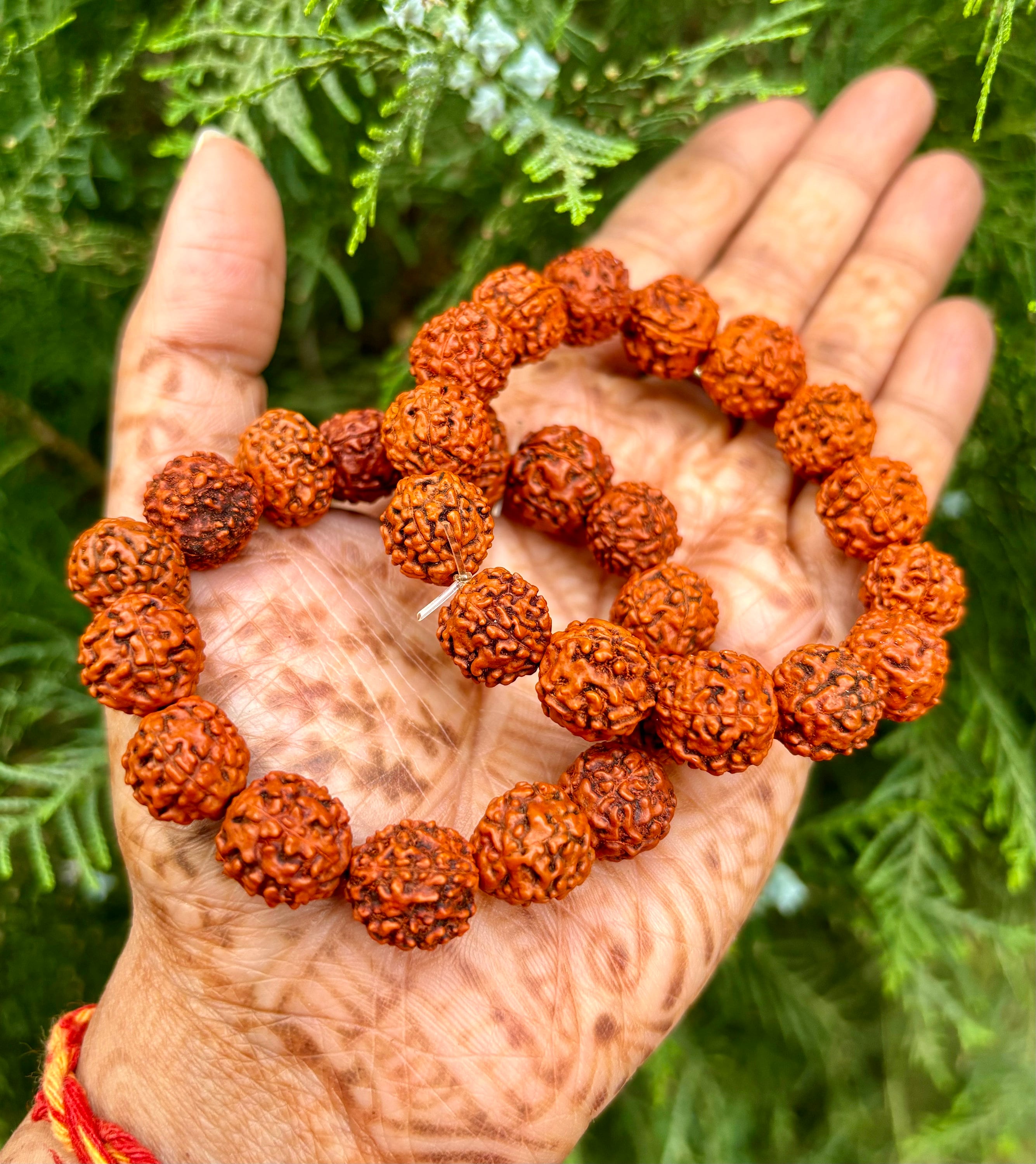 No-2 ルドラクシャブレスレット1ムキ〜10ムキ& 8ムキガネーシャ、スアール No-2 ルドラクシャブレスレット1ムキ〜10ムキu0026 8ムキガネーシャ