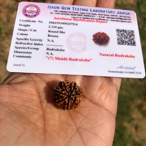 May include: A brown, seven-faced Rudraksha bead, also known as a "(7) Mukhi Rudraksha", with a certificate from the ISKON Gem Testing Laboratory in Jaipur, India. The certificate states the bead weighs 2.110 grams.