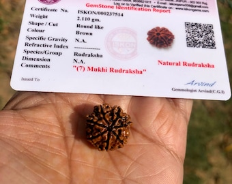 Puede incluir: Una cuenta de Rudraksha marrón de siete caras, también conocida como "(7) Mukhi Rudraksha", con un certificado del laboratorio de pruebas de gemas ISKON en Jaipur, India. El certificado indica que la cuenta pesa 2,110 gramos.