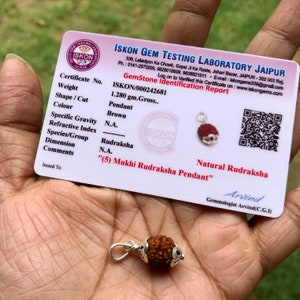 Certificado de laboratorio Plata 925 + 5 Mukhi RUDRAKSHA Panchmukhi Rudraksh 5 Cara Rudraksham (10 mm) Colgante Yoga Oración Curación, Salud, Niños, Adultos