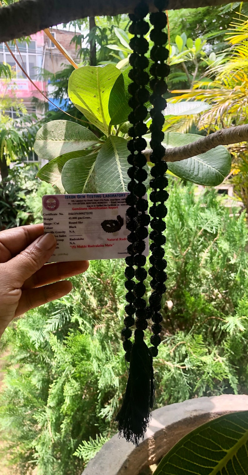 May include: A black Rudraksha Mala with a tassel, a string of beads used in Hinduism and Buddhism for prayer and meditation. The mala is 42 grams and is made of 5 Mukhi Rudraksha beads. The certificate of authenticity is visible in the image.