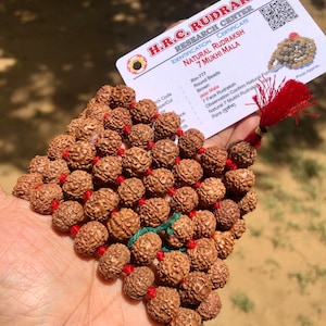 LAB CERTIFIED 108 + 1 Perle Indischer Herkunft Rudraksha Mala 7 mukhi 7 Gesichter (9-10 mm Perle) Lord Shivas Rosenkranz Jaap Mala Yoga Gebet Heilung, selten