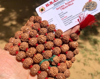 LAB CERTIFIED 108+1 Bead Indian Origin Rudraksha Mala 7 mukhi 7 faces (9-10 mm bead) Lord Shivas Rosary Jaap Mala Yoga Prayer Healing, Rare