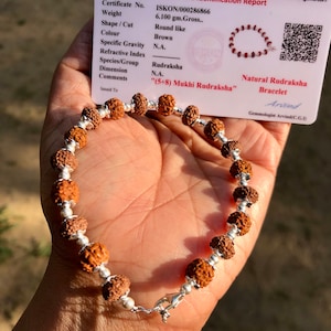 LAB CERTIFIED + 925 Silver Natural RUDRAKSHA Rudraksh Bracelet, 5 Mukhi + 8 Mukhi, 7.5 &quot; + ext, Indian Origin Lord Shiva, Prayer Meditation