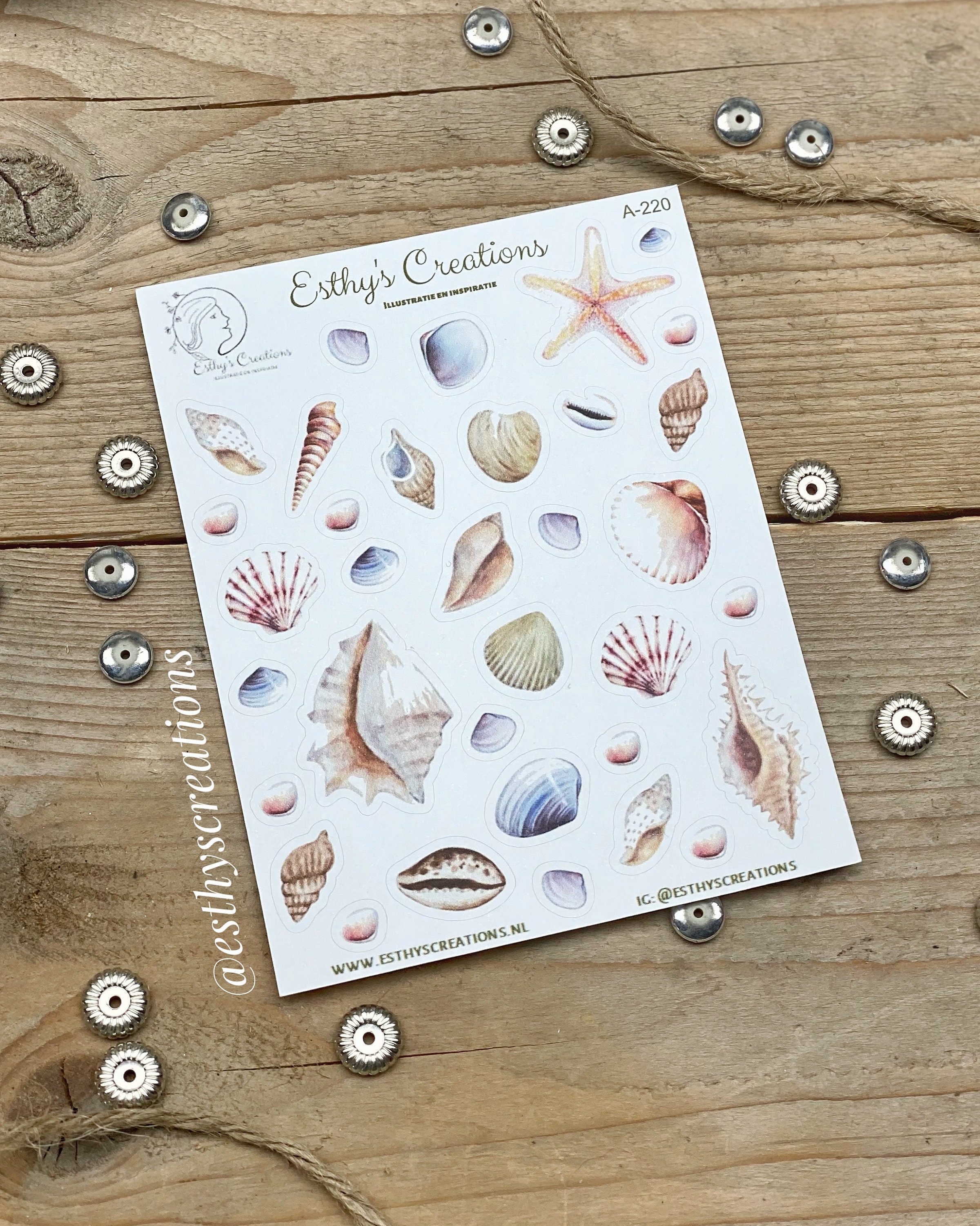 Shell stickers summer stickers Beach Shells Planner Etsy