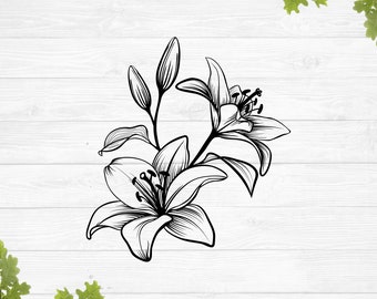 Download Stargazer Lily Svg Etsy