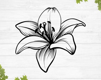 Download Stargazer Lily Svg Etsy