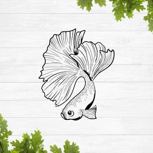 Betta fish svg, Siamese fighting fish svg, aquarium fish svg, decorative fish svg, swimming fish svg
