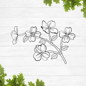 Dogwood flor svg, calcomanía de flores svg, flores de primavera svg, flores rústicas svg, guirnalda de flores svg