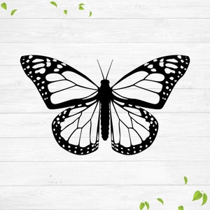 Svg papillon monarque, svg papillon, simple papillon svg, pochoir en vinyle, silhouette cricut