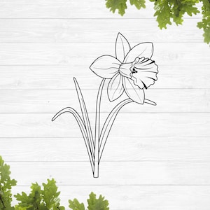 Påsklilja blomma kontur svg bild 1