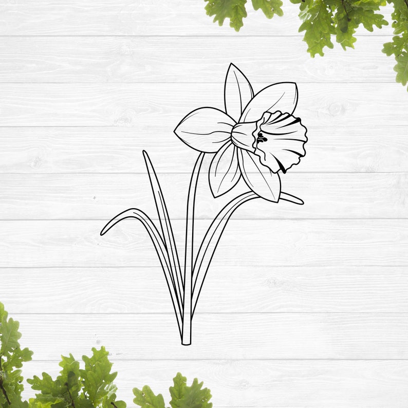 Påsklilja blomma kontur svg bild 1
