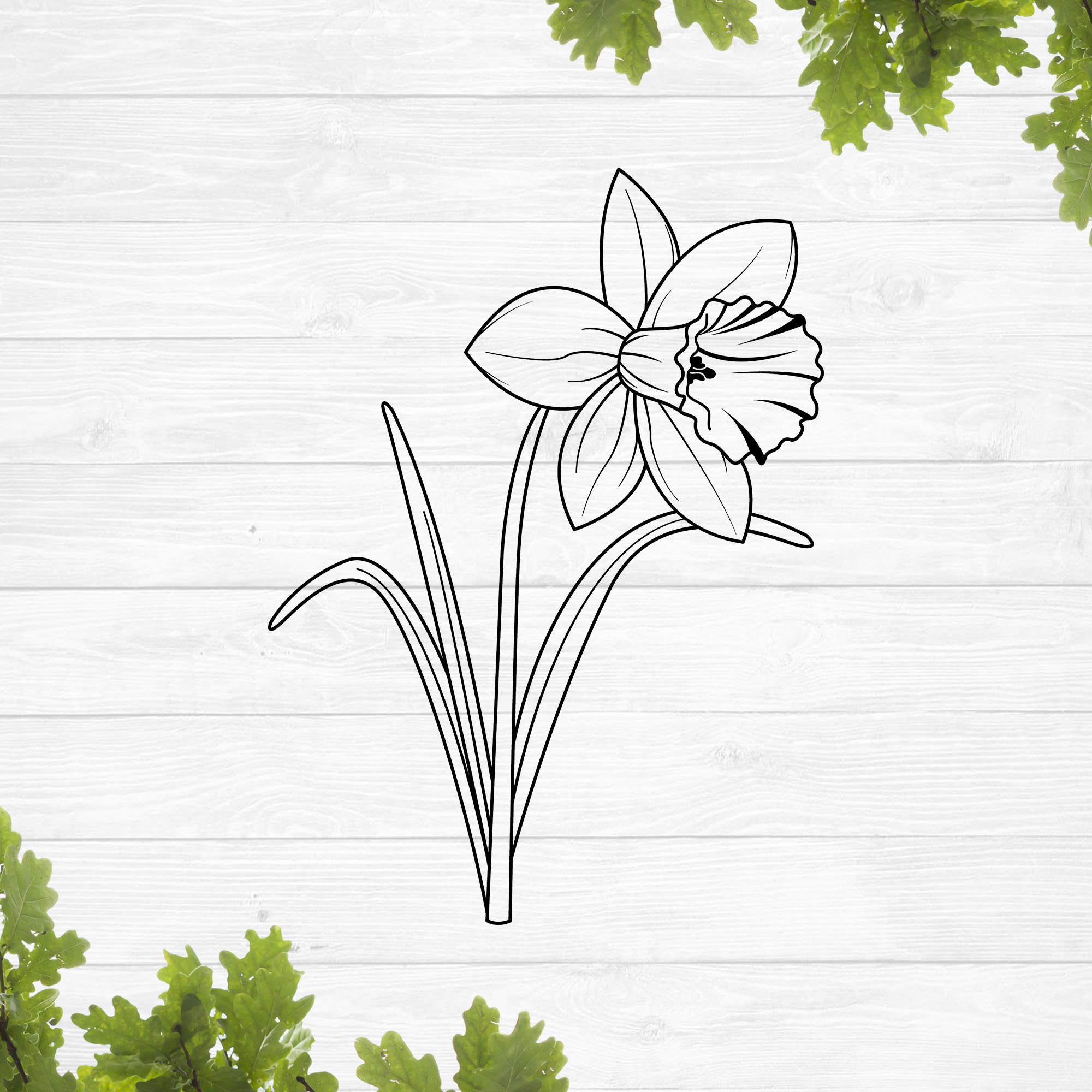Daffodil Flower Outline Svg Etsy