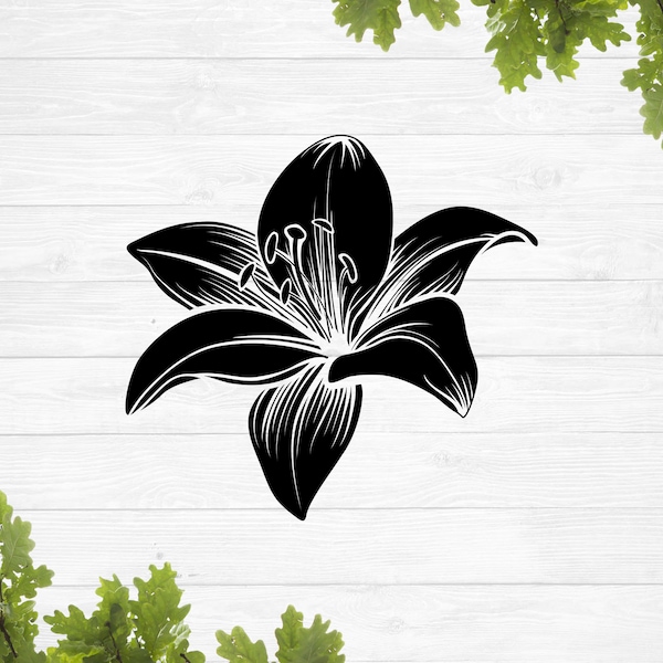 Lily Svg - Etsy