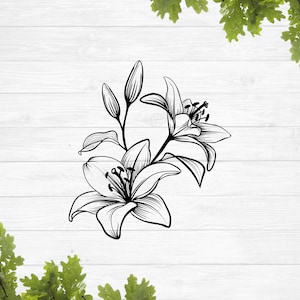 SVG, lírio de calla svg, lírio stargazer svg, lírio svg, lírios svg, lírio svg, lírio tigre svg, lírio de páscoa svg, design de sublimação, silhueta