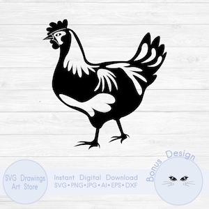 Realistic chicken svg, Chicken outline, Chicken stencil SVG, PNG, DXF