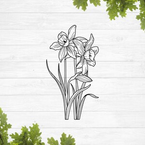 May include: A black and white line drawing of two daffodils with stems and leaves.