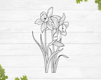 Bouquet de jonquilles contour svg