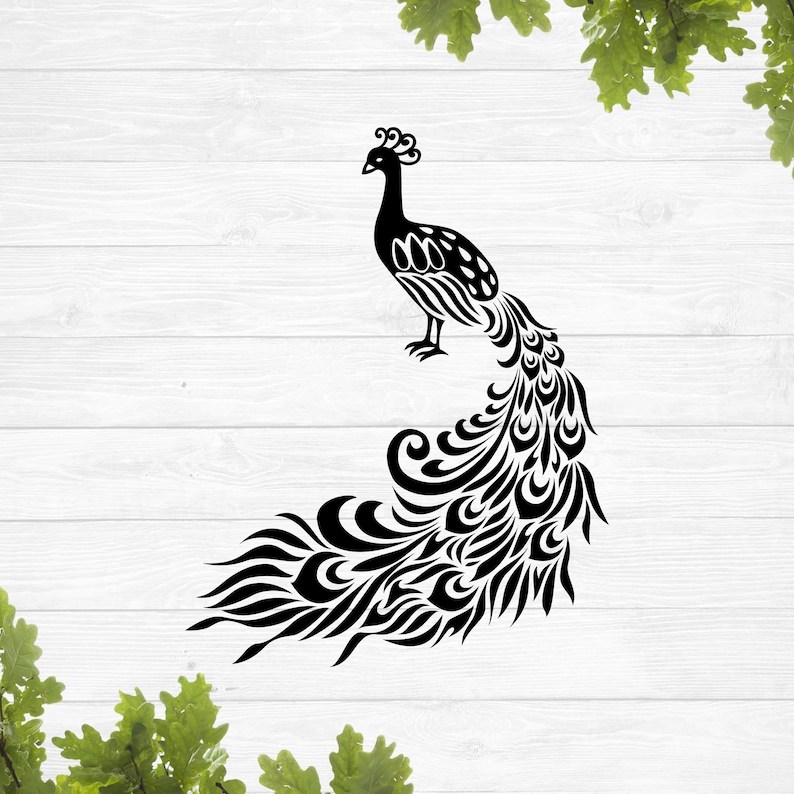 Free Peacock Mandala Svg Free 748 SVG PNG EPS DXF File