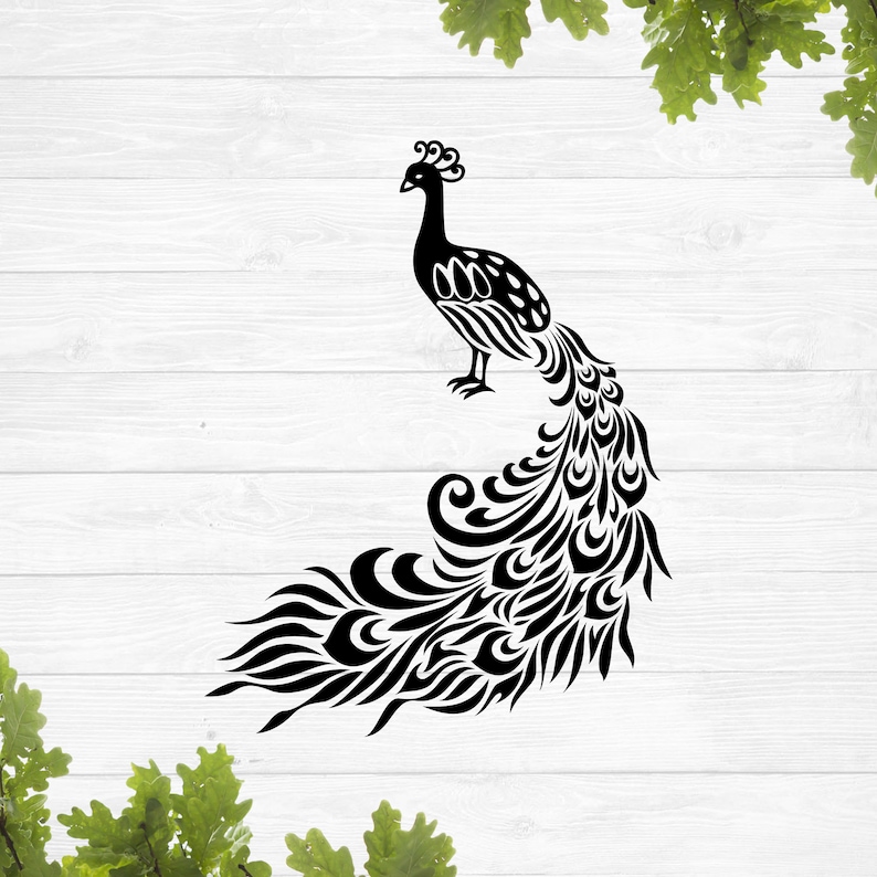 Free Free Peacock Mandala Svg Free 748 SVG PNG EPS DXF File