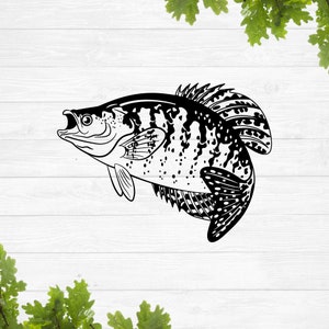Crappie svg, crappie fish svg, cute fish svg, sea fish svg, fishing shirt design
