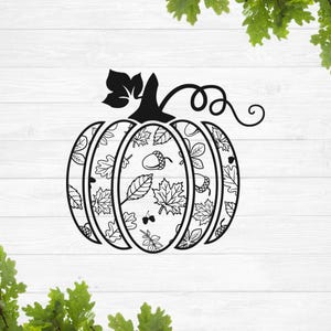May include: Black and white line art illustration of a pumpkin with a stem and leaves. The pumpkin is filled with a pattern of leaves and acorns.