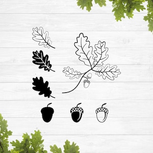 Oak leaf svg, Acorn svg