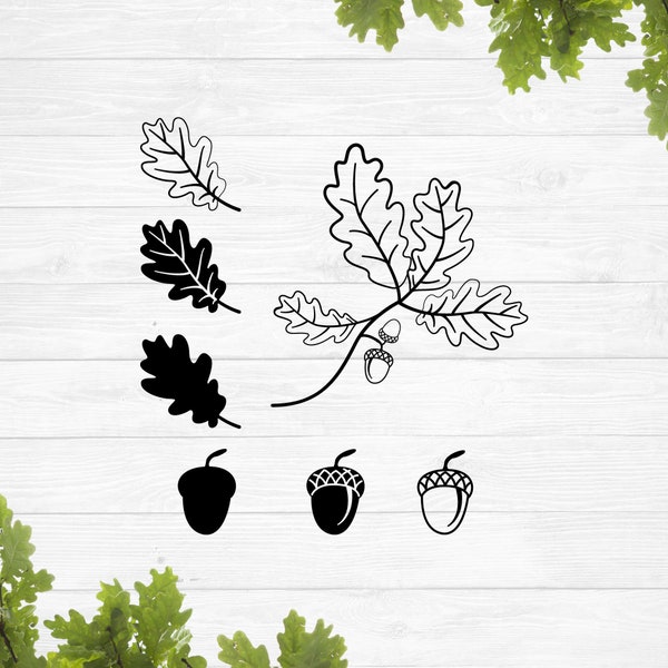 Oak leaf svg, Acorn svg