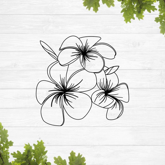 Plumeria Flower Svg Tropical Flowers Svg Simple Hawaiian - Etsy