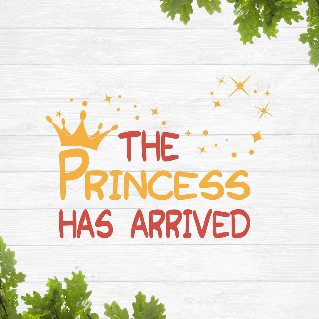 The Princess Has Arrived Svg, New Baby Svg, Newborn Svg - Etsy