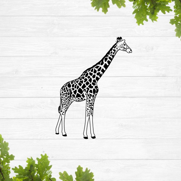 Giraffe svg, cute giraffe svg, giraffe silhouette svg, Realistic giraffe svg, giraffe drawing, cute safari animal, Giraffe stencil