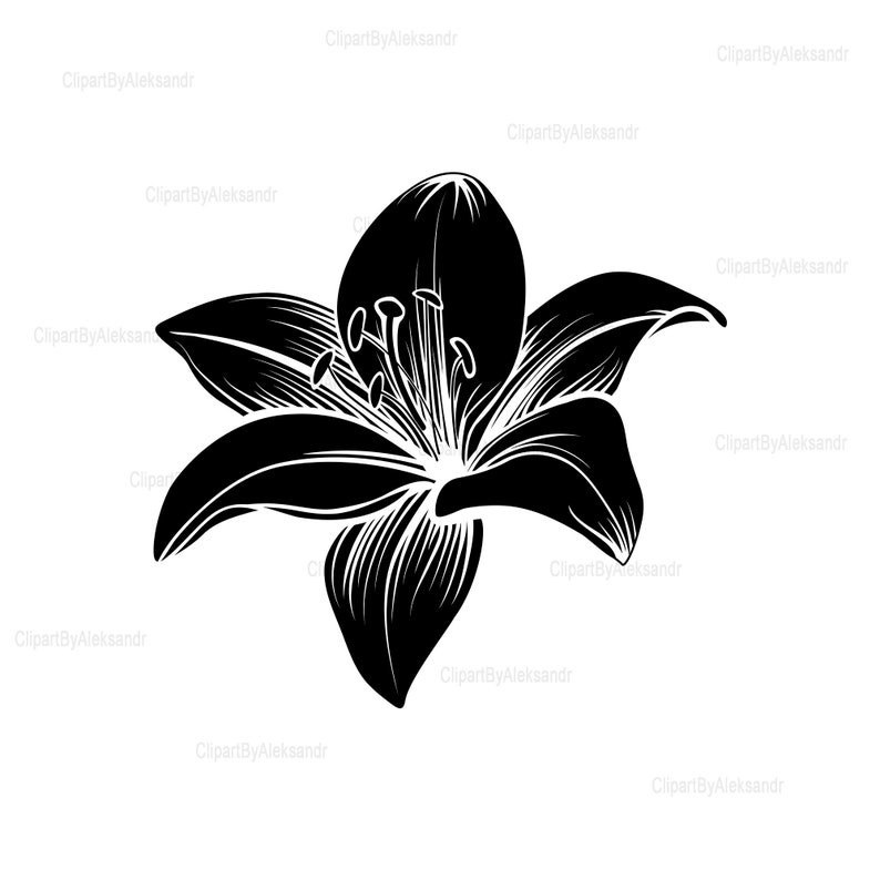 SVG Tiger Lily Svg Stargazer Lily Svg Lily Svg Lilies Svg Etsy