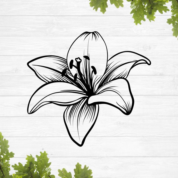 Calla Lily Flower SVG