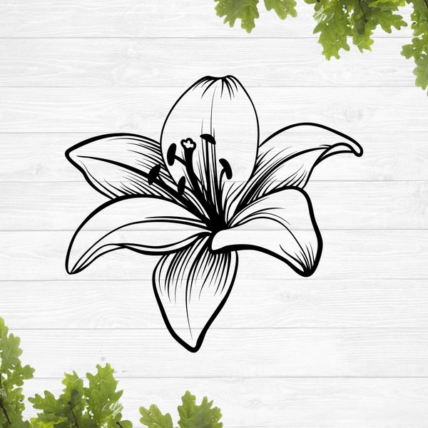 SVG, lily svg, lilies svg, calla lily svg, lily pad svg, tiger lily svg, stargazer lily svg, easter lily svg, sublimation design, silhouette