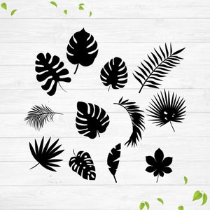SVG, Monstera leaves svg, hawaiian leaf svg, tropical leaf svg, jungle leaves svg, greenery svg, palm leaf svg, dinosaur leaves svg