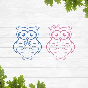 Girly hibou svg, hibou garçon svg, bébé hibou svg, mignon hibou svg, fantaisie hibou svg