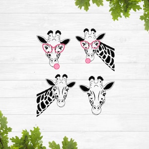 Giraffe face svg, giraffe svg, cute giraffe svg, giraffe head svg, giraffe with glasses svg, baby giraffe svg, peeking giraffe svg