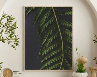 Still life fern photography, dark macro fern prints, dark botanical art, a4, a3, a2