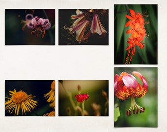 Elegant Botanical Postcard Set - Set of 6 Beautiful Photography Postcards with Bright Floral Art