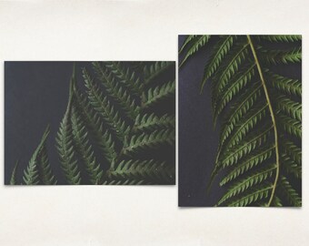 Fern postcard set, fern botanical photography, fern art and decor