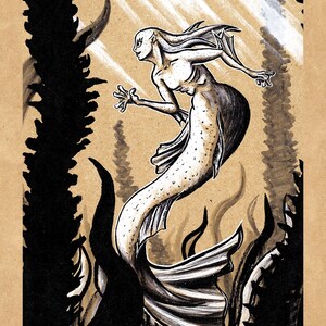 The Mermaid