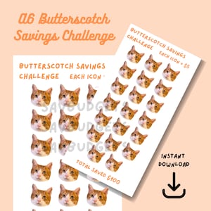 A6 Orange Cat Savings Challenge: Vet Bill Budget (PDF)
