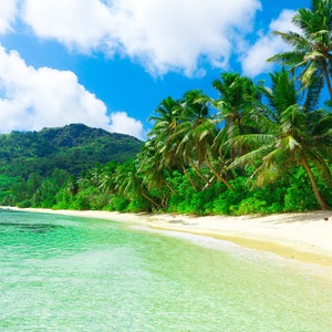 scatola di semi tropicali